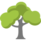 Placerville Tree Removal