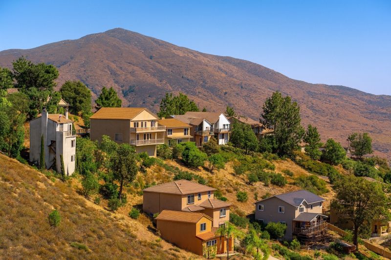 Apple Tree Removal in Shingle Springs, CA