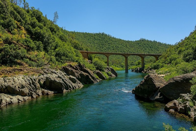 Tree Removal Service in Auburn, CA