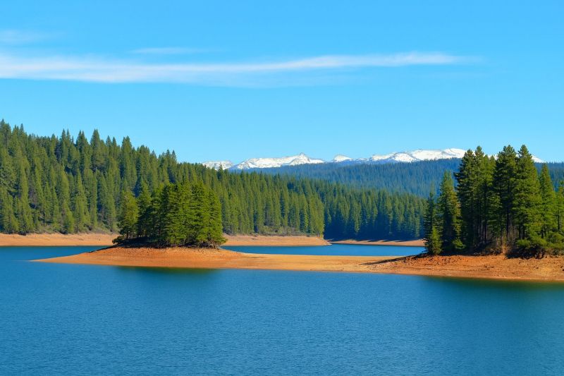 Tree Removal Service in Pollock Pines, CA