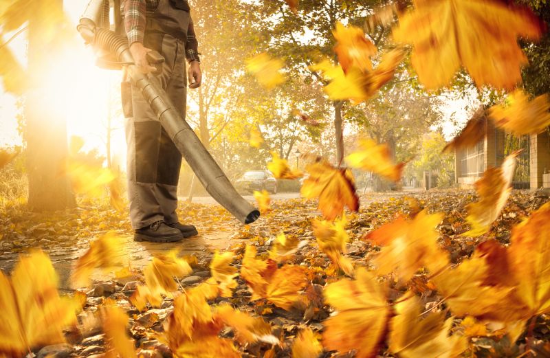 Seasonal Leaf Clearing