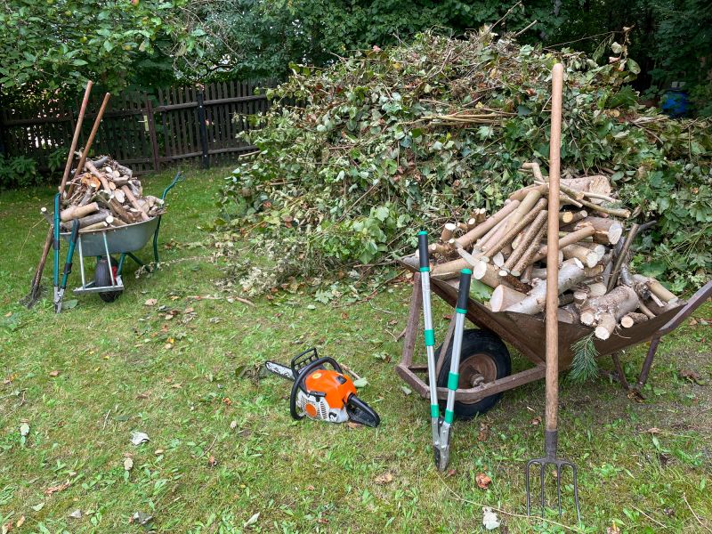 Completed Tree Removal