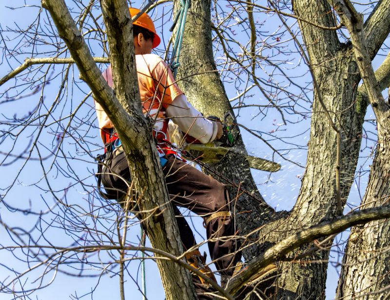 Pre-Removal Site Assessment