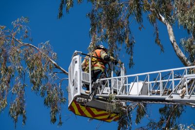 Safety Gear and Precautions