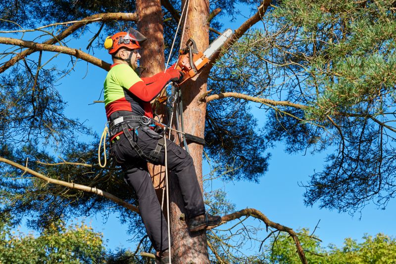 Worksite Safety Measures