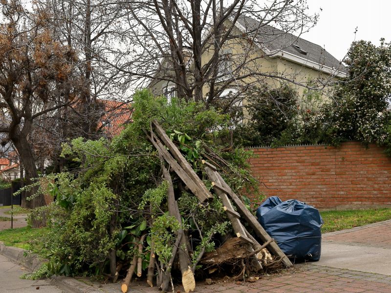 Site Cleanup After Removal